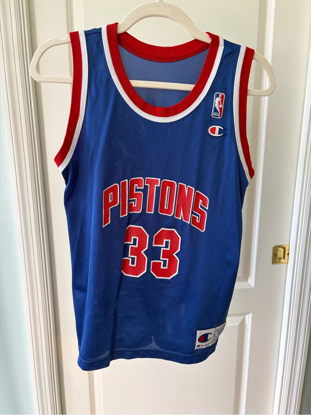 Vintage Champion Detroit Pistons Grant Hill #33 Basketball Jersey - Youth Large
